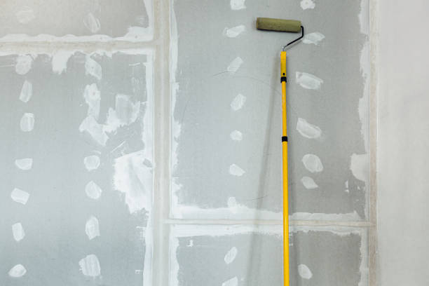 Reliable Lynbrook, NY Mold Removal Solutions