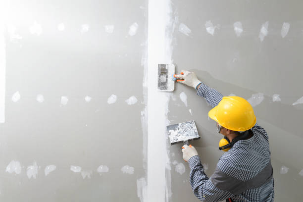 Best Forensic Mold Investigation  in Lynbrook, NY