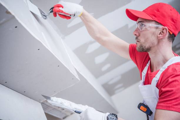 Best Mold Remediation for Rental Properties  in Lynbrook, NY